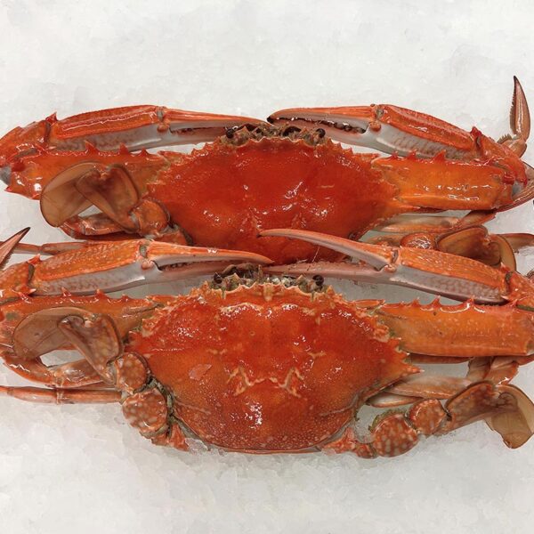 Cooked Blue Swimmer Crabs